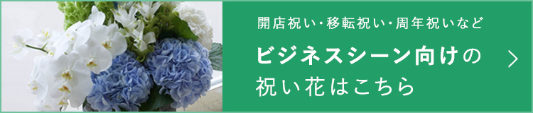 Sakaseru サカセル 楽屋花 フラスタのオーダーメイド祝い花通販